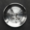 VERONICA DISH